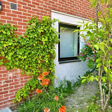 Simple * تروندهايم